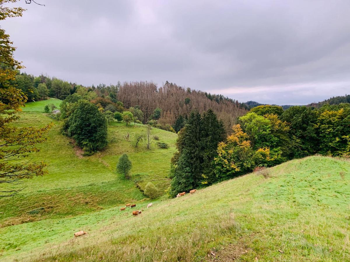 Naturhof Kluge Saupsdorf Экстерьер фото