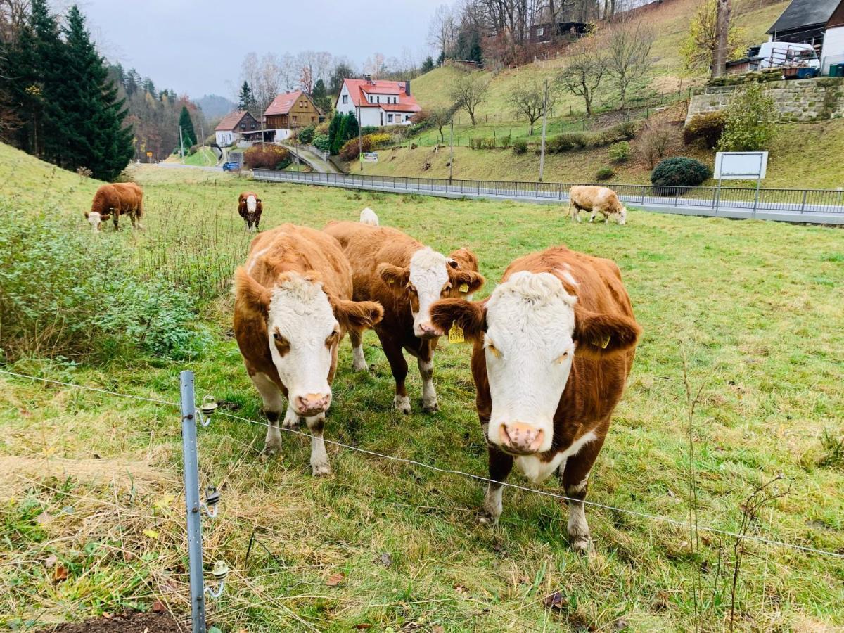 Naturhof Kluge Saupsdorf Экстерьер фото