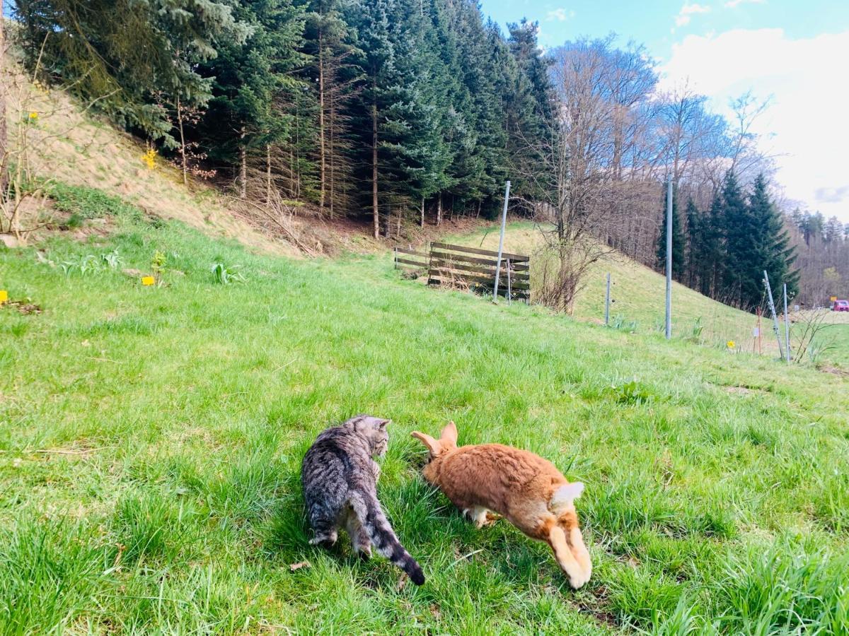 Naturhof Kluge Saupsdorf Экстерьер фото